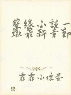 孽缘小说一家乱炖最新章节阅读