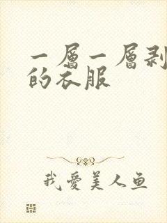 一层一层剥开我的衣服