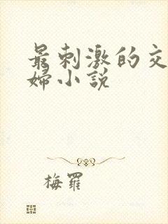 最刺激的交换夫妇小说