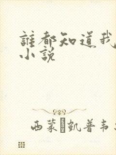 谁都知道我爱你小说