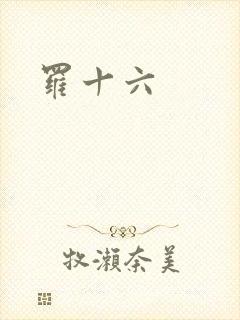 罗十六