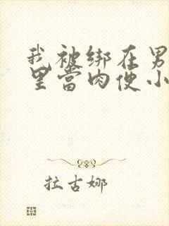 我被绑在男公厕里当肉便小说