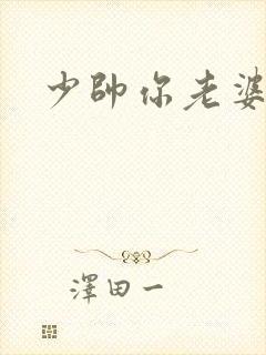 少帅你老婆