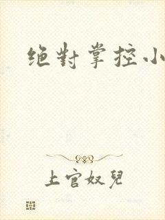 绝对掌控小说