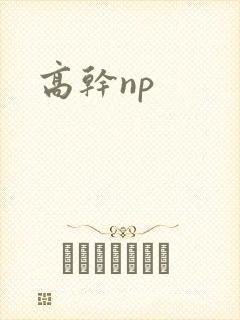 高干np
