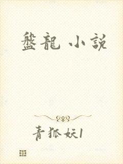 盘龙 小说
