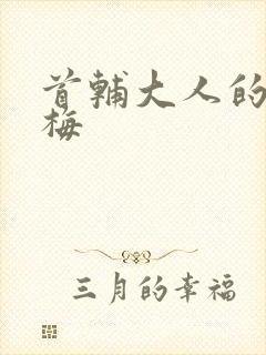 首辅大人的小青梅