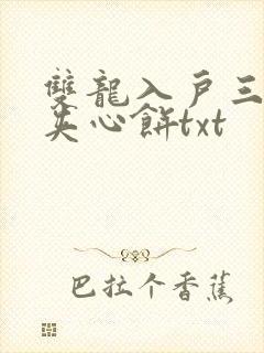 双龙入户三人行夹心饼txt