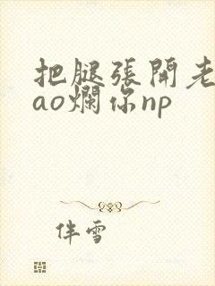 把腿张开老子cao烂你np