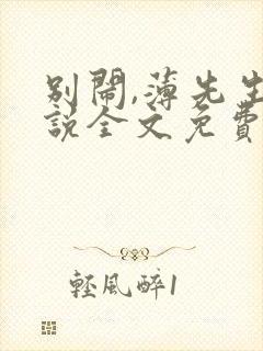 别闹,薄先生小说全文免费阅读