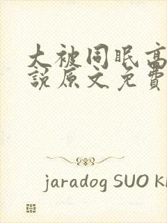 大被同眠高粱小说原文免费阅读