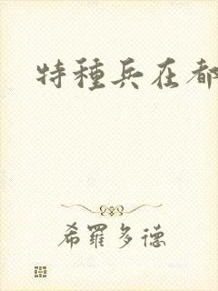 特种兵在都市