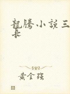 龙腾小说三宝局长