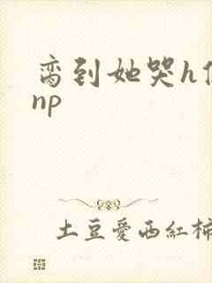 脔到她哭h修仙np