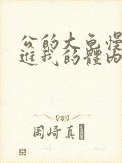 公的大龟慢慢挺进我的体内视频