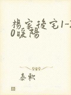 杨家后宅1-20暖阳