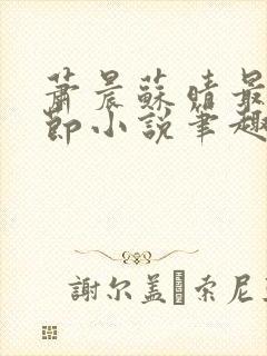 萧晨苏晴最新章节小说笔趣阁