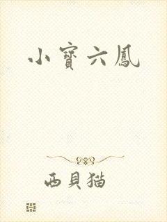 小宝六凤