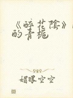 《醉花阴》by酌青栀