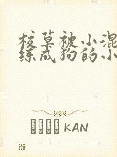 校草被小混混训练成狗的小说