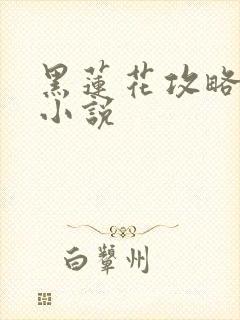 黑莲花攻略手册小说