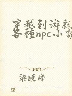 穿越到游戏里和各种npc小说