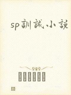 sp训诫小说