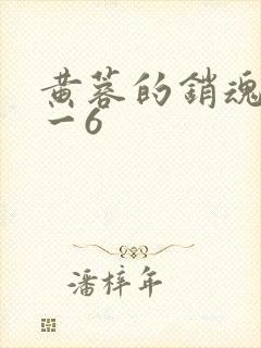 黄蓉的销魂夜1一6