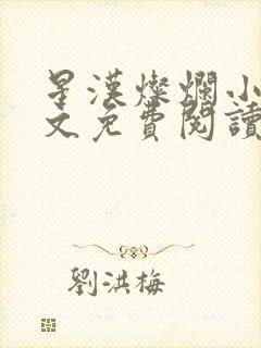 星汉灿烂小说全文免费阅读