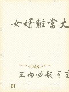 女婿难当大结局