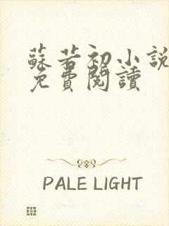 苏若初小说全文免费阅读