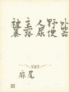 被主人野外调教暴露尿便器