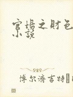 官场之财色诱人小说