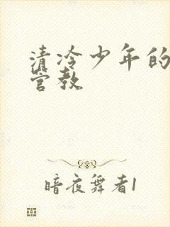 清冷少年的严厉管教