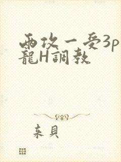 两攻一受3p双龙H调教