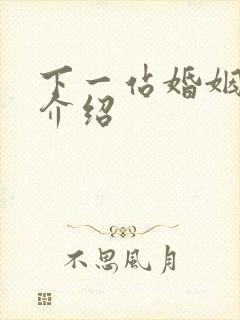 下一站婚姻剧情介绍