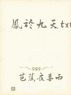 凤于九天txt