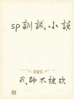 sp训诫小说