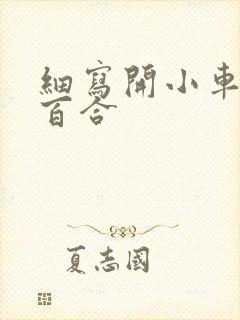 细写开小车车的百合