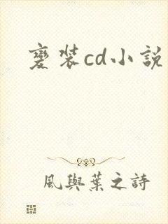 变装cd小说