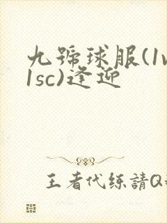 九号球服(1v1sc)逢迎