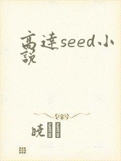 高达seed小说