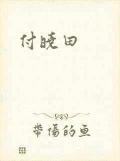 付晓田