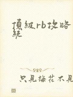 顶级rb攻略系统