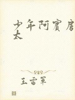 少年阿宾房东太太