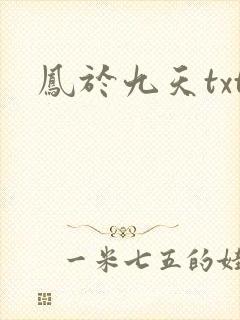 凤于九天txt
