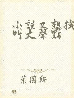 小说又想挨C了叫大声点