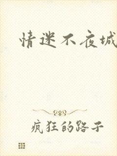情迷不夜城