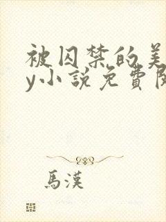 被囚禁的美人by小说免费阅读