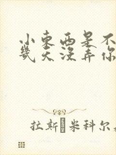 小东西是不是好几天没弄你了